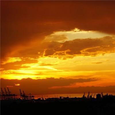 复仇之臂中文修改版